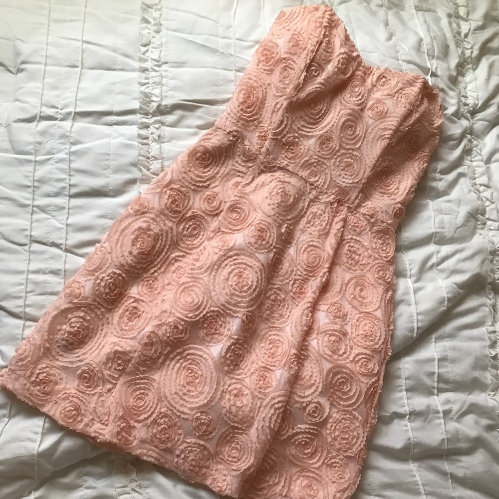 Rose embroidered strapless dress